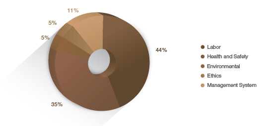 Distribution of Supplier Sustainability Audit Findings